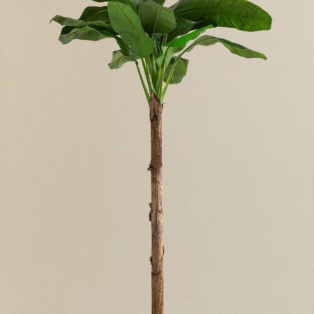 Banano artificiale decorativo 330 cm