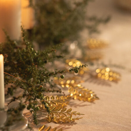 Ghirlanda decorativa LED Enves