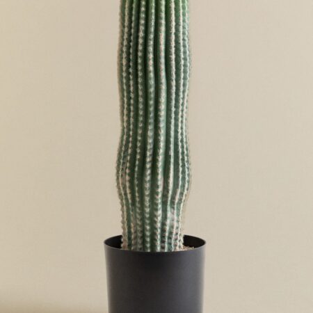 Cactus artificiale Carnegiea 72 cm