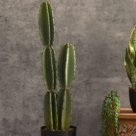 Cactus Artificiale Cereus 70 cm