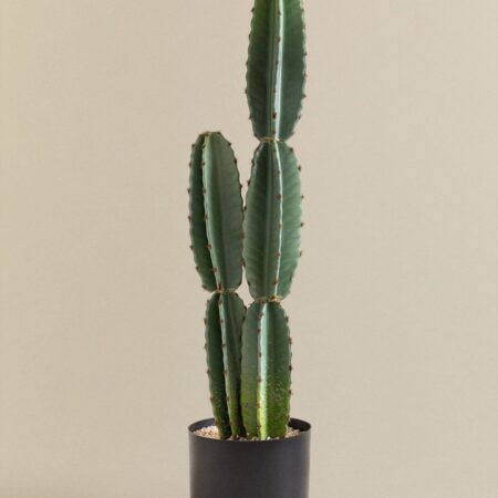 Cactus Artificiale Cereus 70 cm