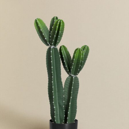 Cactus artificiale Cereus Design 86 cm