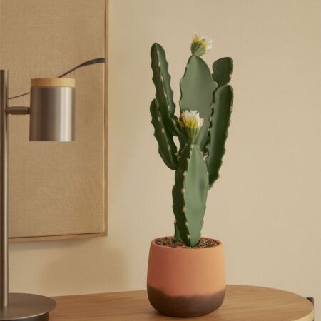 Cactus Artificiale con Flores Cereus 52 cm
