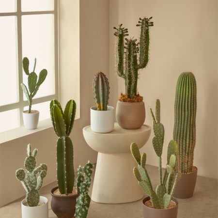 Cactus artificiale Echinopsis 60 cm