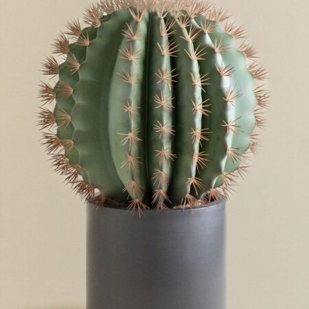Cactus artificiale Ferocactus