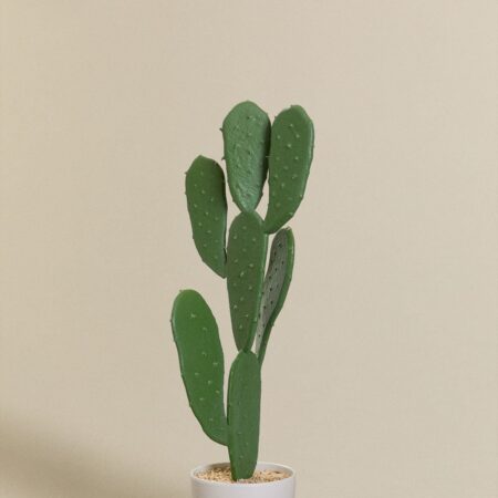 Cactus artificiale Nopal