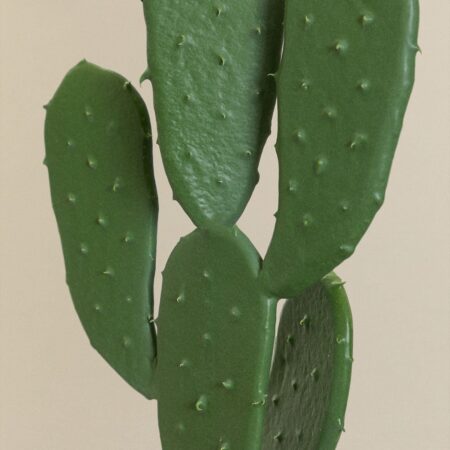 Cactus artificiale Nopal
