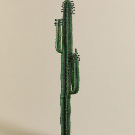 Cactus Cereus artificiale 153 cm