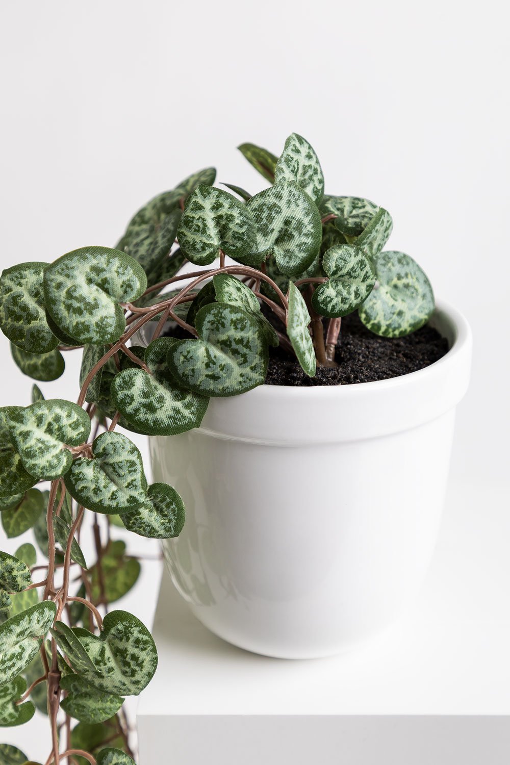 Collana decorativa a forma di cuore con pianta artificiale sospesa