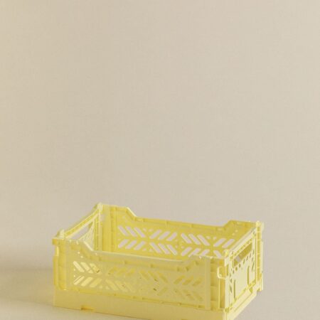 Set di 2 scatole Doli in plastica pieghevoli e impilabili