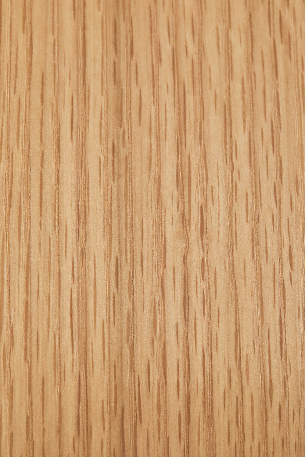 Confezione da 2 sedie da pranzo in legno Elionora