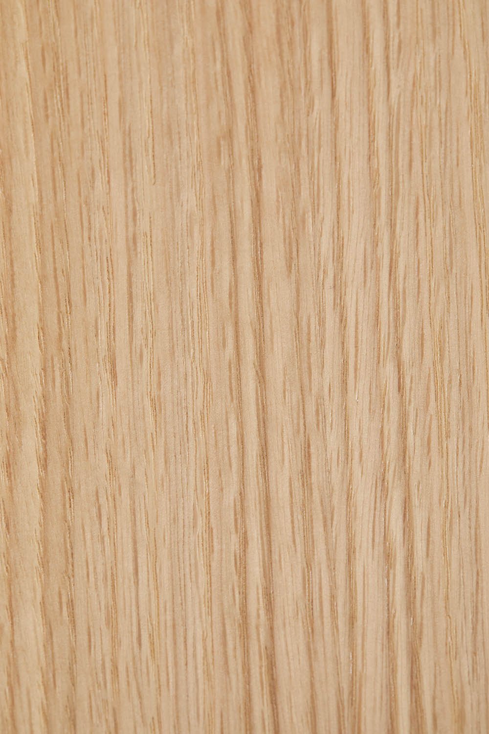 Confezione da 2 sedie da pranzo in legno Gilda
