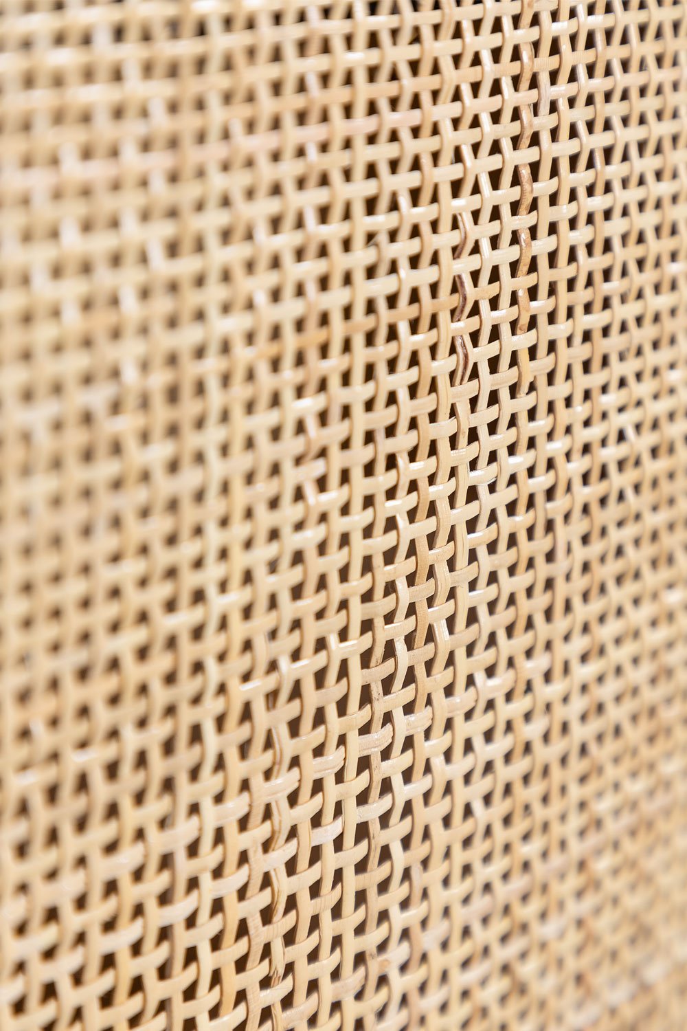 Credenza a 2 Ante in Rattan e Legno Reyna