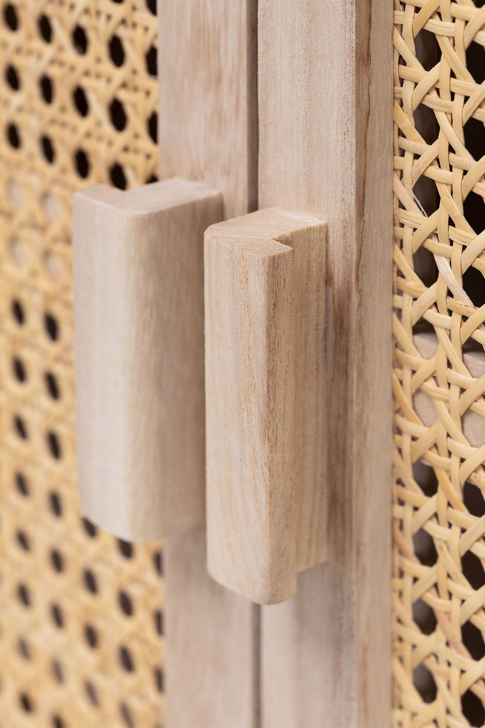 Credenza in legno con 2 ante in legno Ralik Design