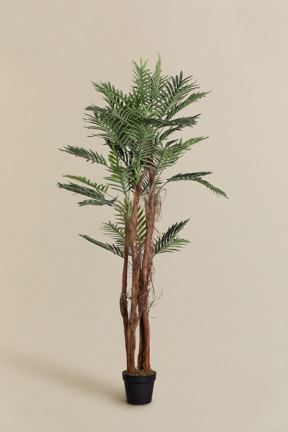Pianta decorativa artificiale Palmera Design
