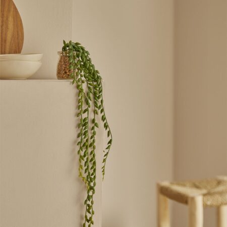 Pianta pensile artificiale decorativa Dischidia