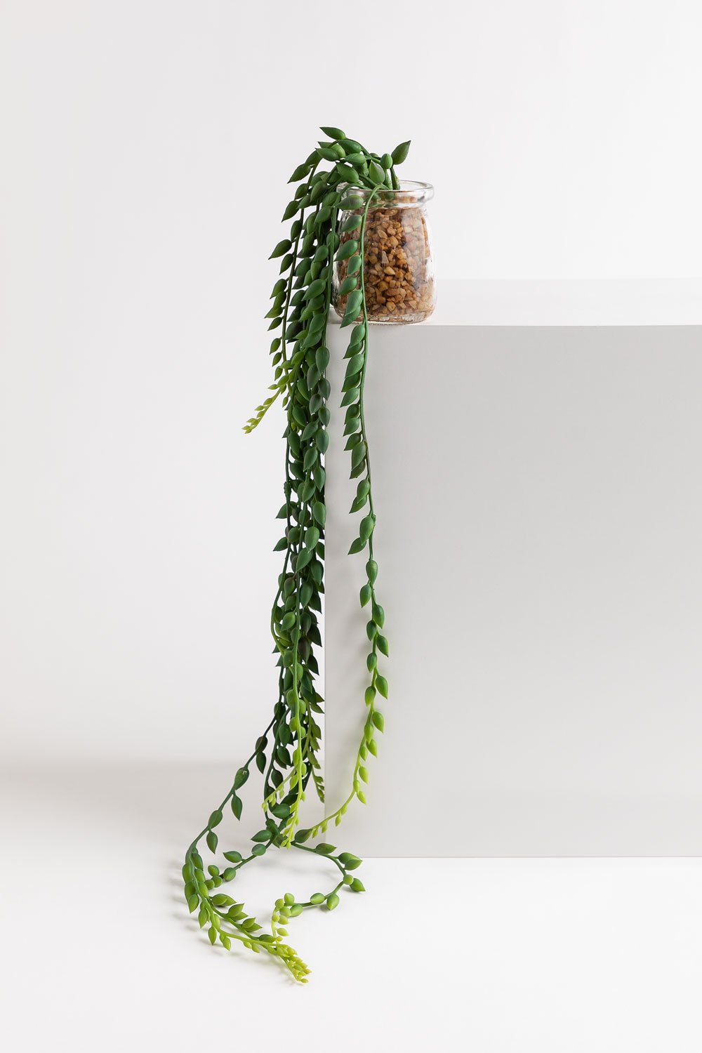 Pianta pensile artificiale decorativa Dischidia