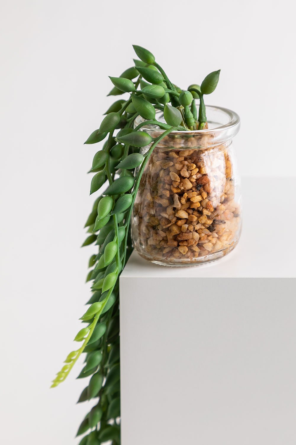 Pianta pensile artificiale decorativa Dischidia