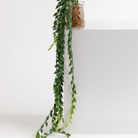 Pianta pensile artificiale decorativa Dischidia
