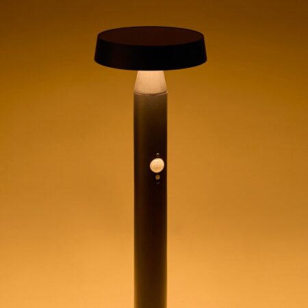 Faro LED solare da esterno Bravissia in acciaio inox