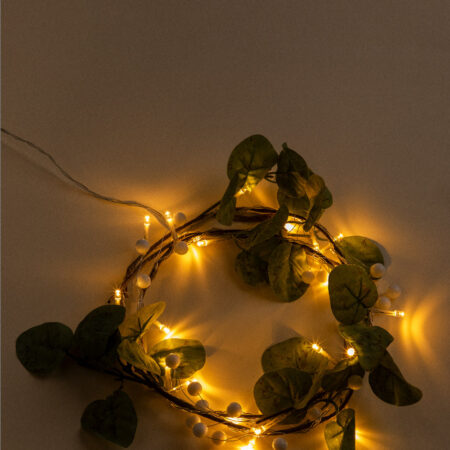 Guirnalda Decorativa LED (2,1 m) Orch
