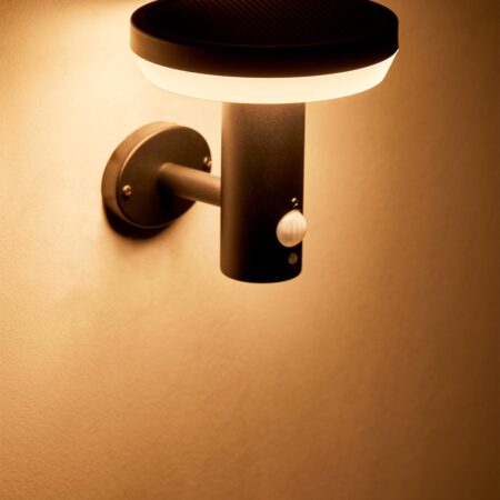 Lampada da parete per esterno LED solare in acciaio inox Ovint