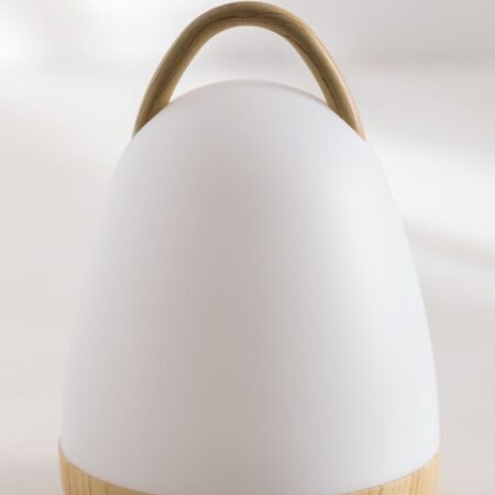 Lampada da tavolo LED Inalambrica Andros