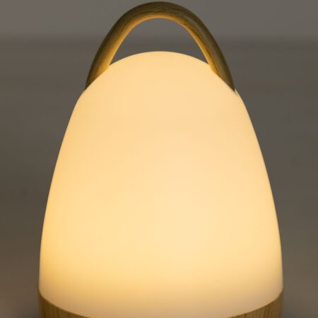 Lampada da tavolo LED Inalambrica Andros