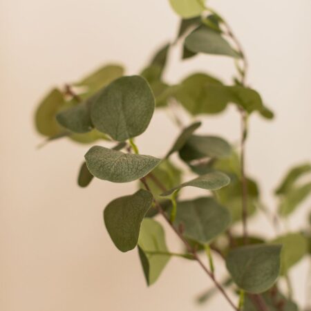 Pianta artificiale decorativa di eucalipto 130 cm