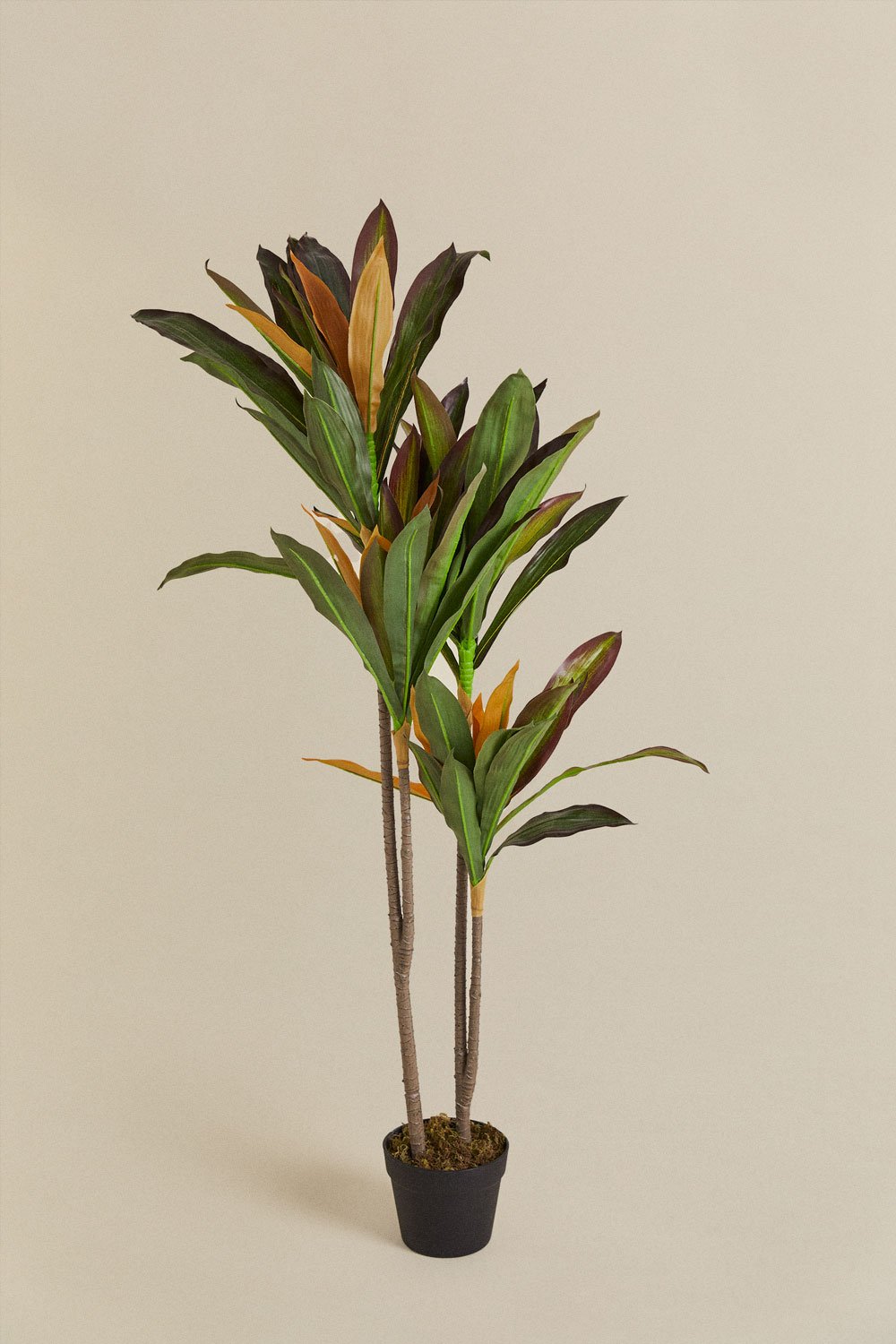 Pianta artificiale decorativa Dracaena