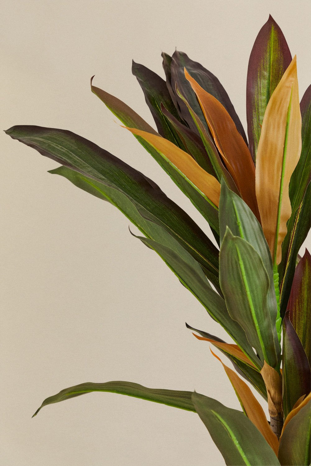 Pianta artificiale decorativa Dracaena