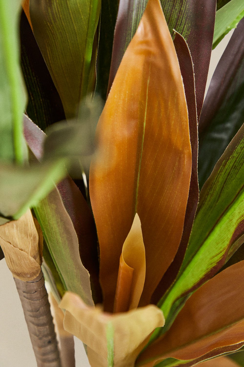 Pianta artificiale decorativa Dracaena