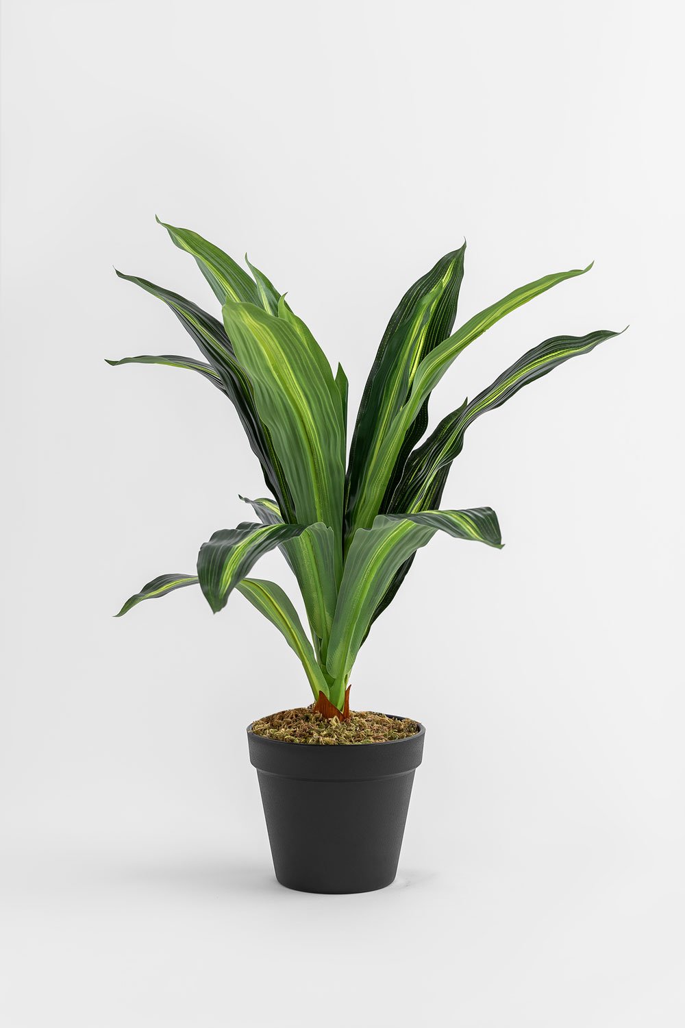 Pianta artificiale decorativa Dracaena 40 cm