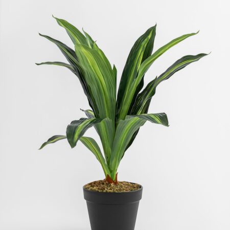 Pianta artificiale decorativa Dracaena 40 cm