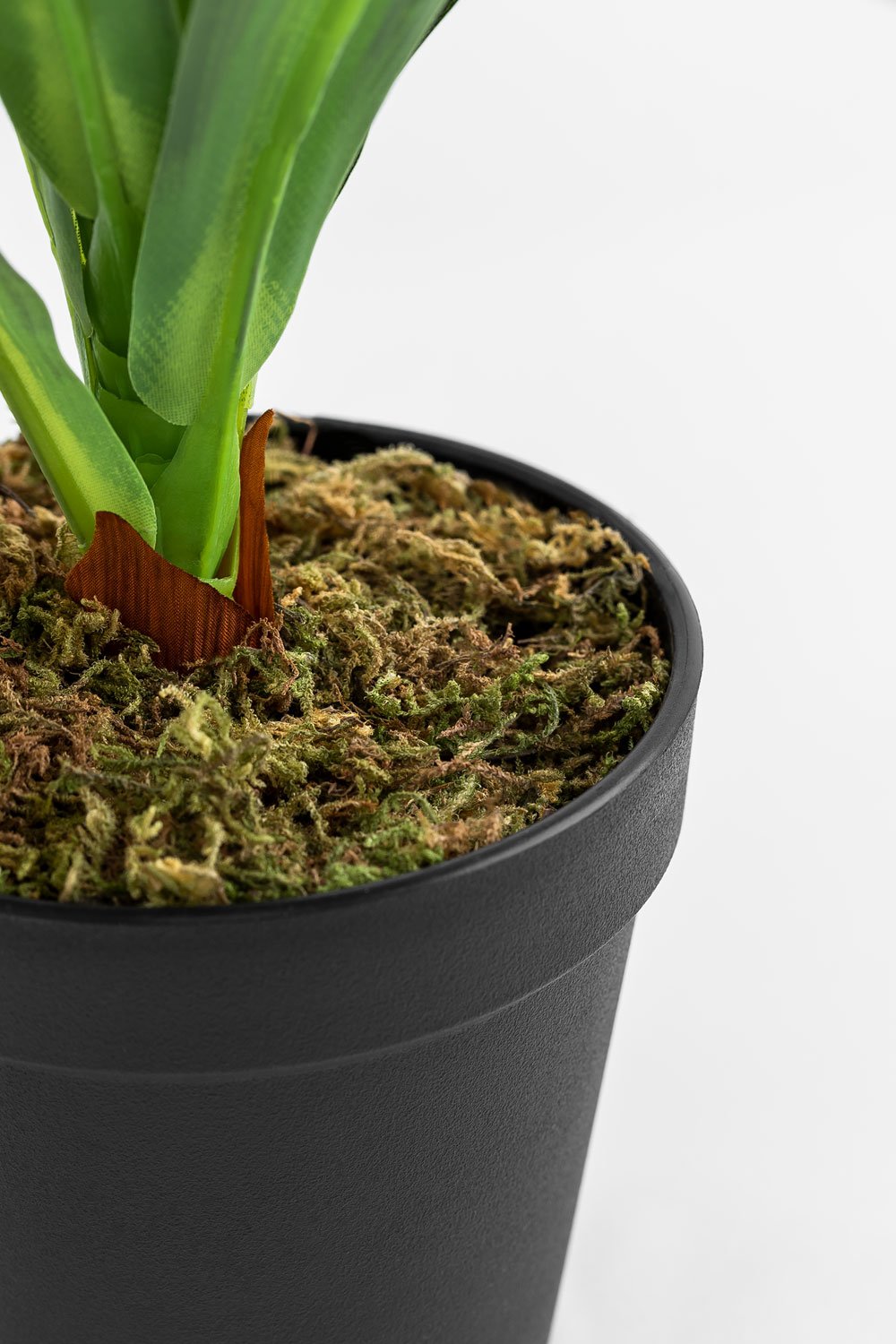 Pianta artificiale decorativa Dracaena 40 cm