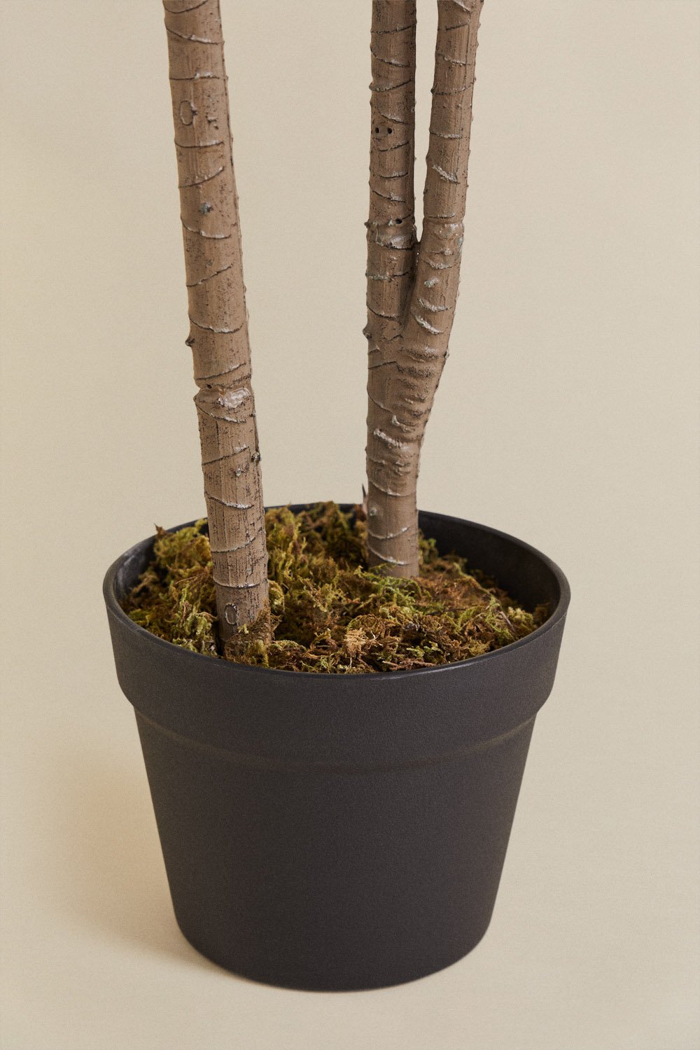 Pianta artificiale decorativa Dracaena