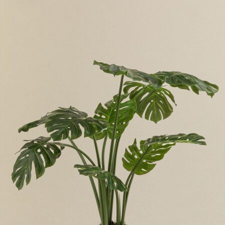 Pianta artificiale decorativa Monstera