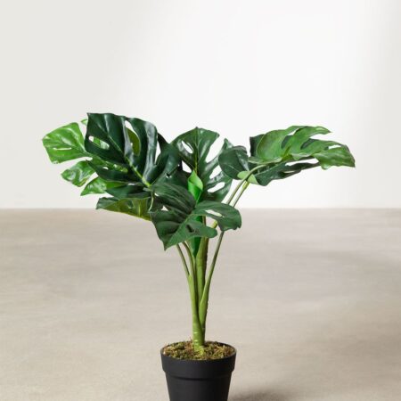 Pianta artificiale decorativa Monstera 70 cm