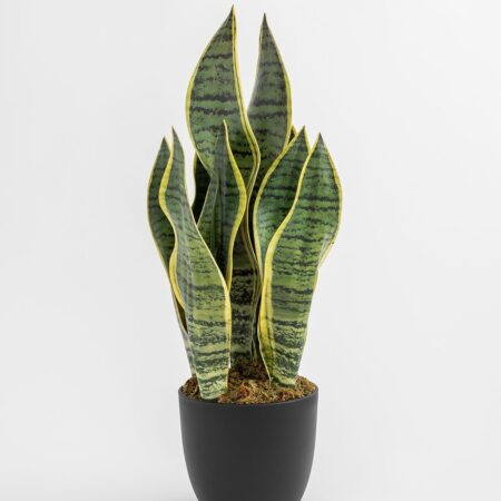 Pianta Artificiale Decorativa Sansevieria 40 cm