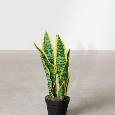 Pianta artificiale decorativa Sansevieria 45 cm
