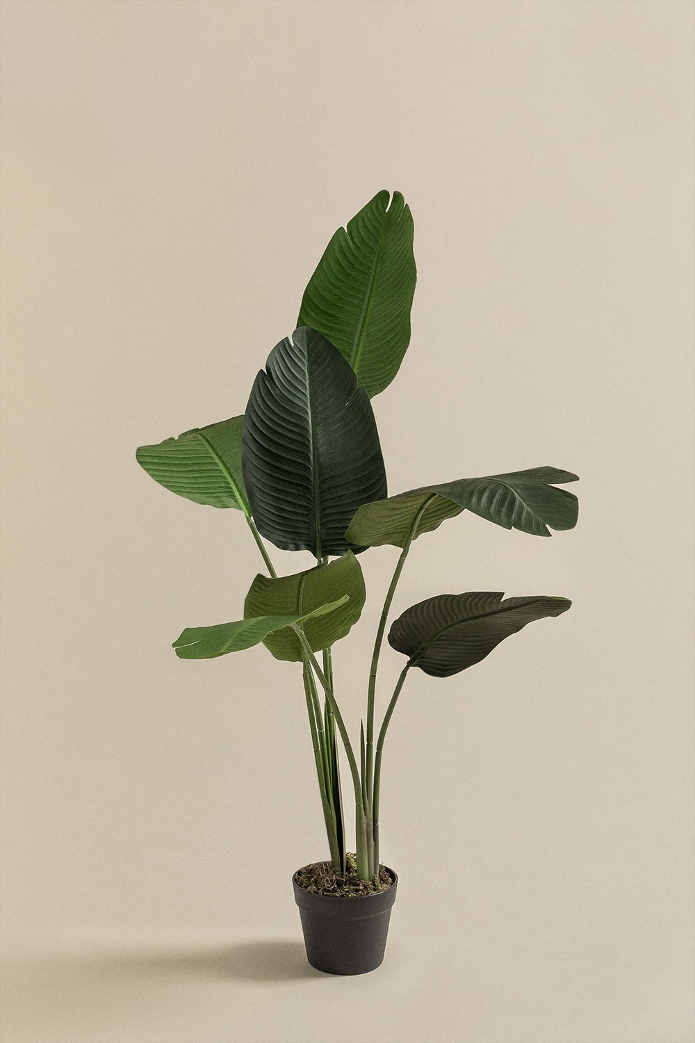 Pianta artificiale decorativa Strelitzia