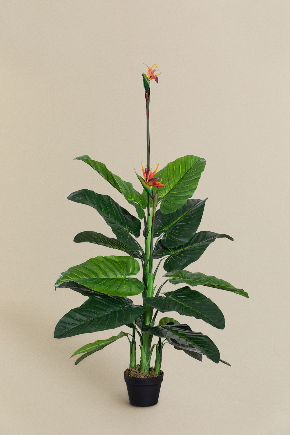 Pianta artificiale decorativa Uccello del paradiso 150 cm