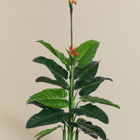 Pianta artificiale decorativa Uccello del paradiso 150 cm