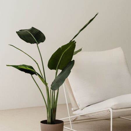 Pianta decorativa artificiale Bananera 160 cm