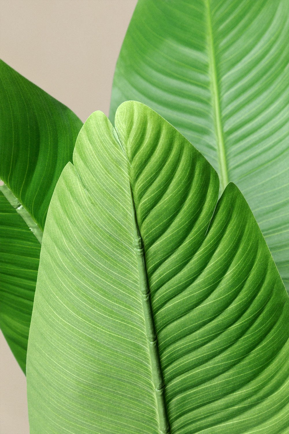 Pianta decorativa artificiale Bananera 160 cm