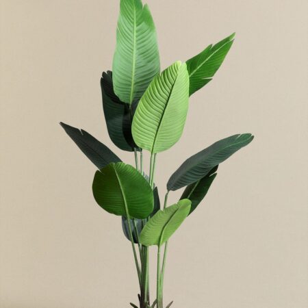 Pianta decorativa artificiale Bananera 160 cm