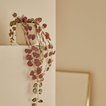Pianta pensile artificiale decorativa Ceropegia