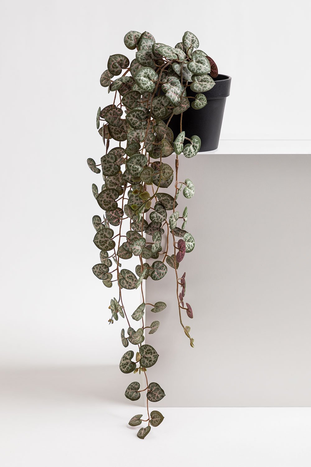 Pianta pensile artificiale decorativa Ceropegia