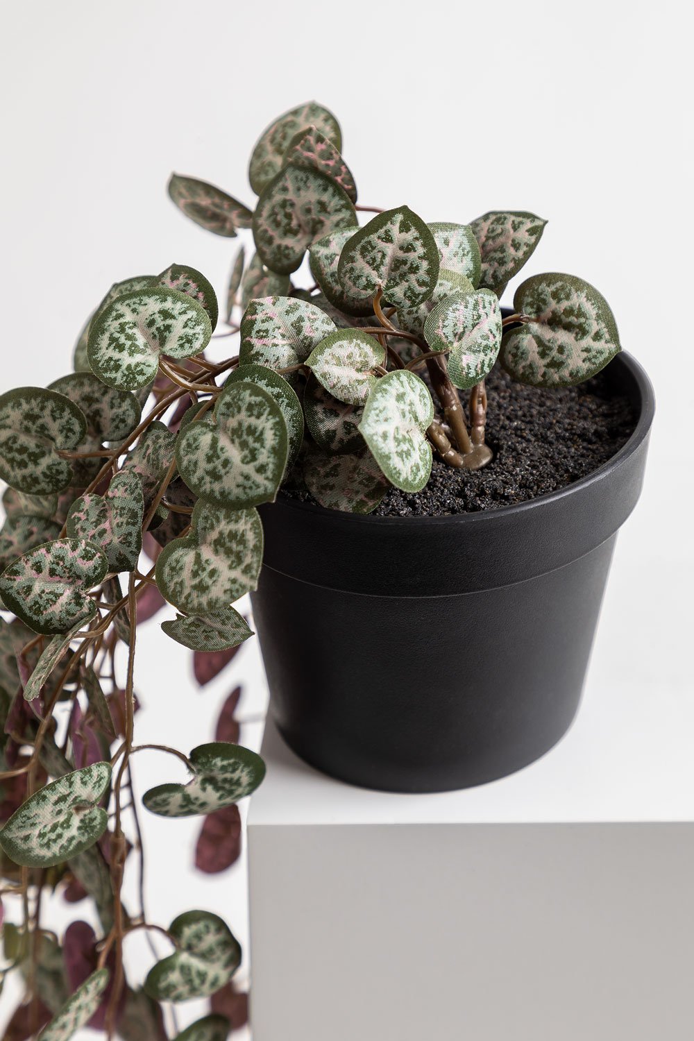 Pianta pensile artificiale decorativa Ceropegia