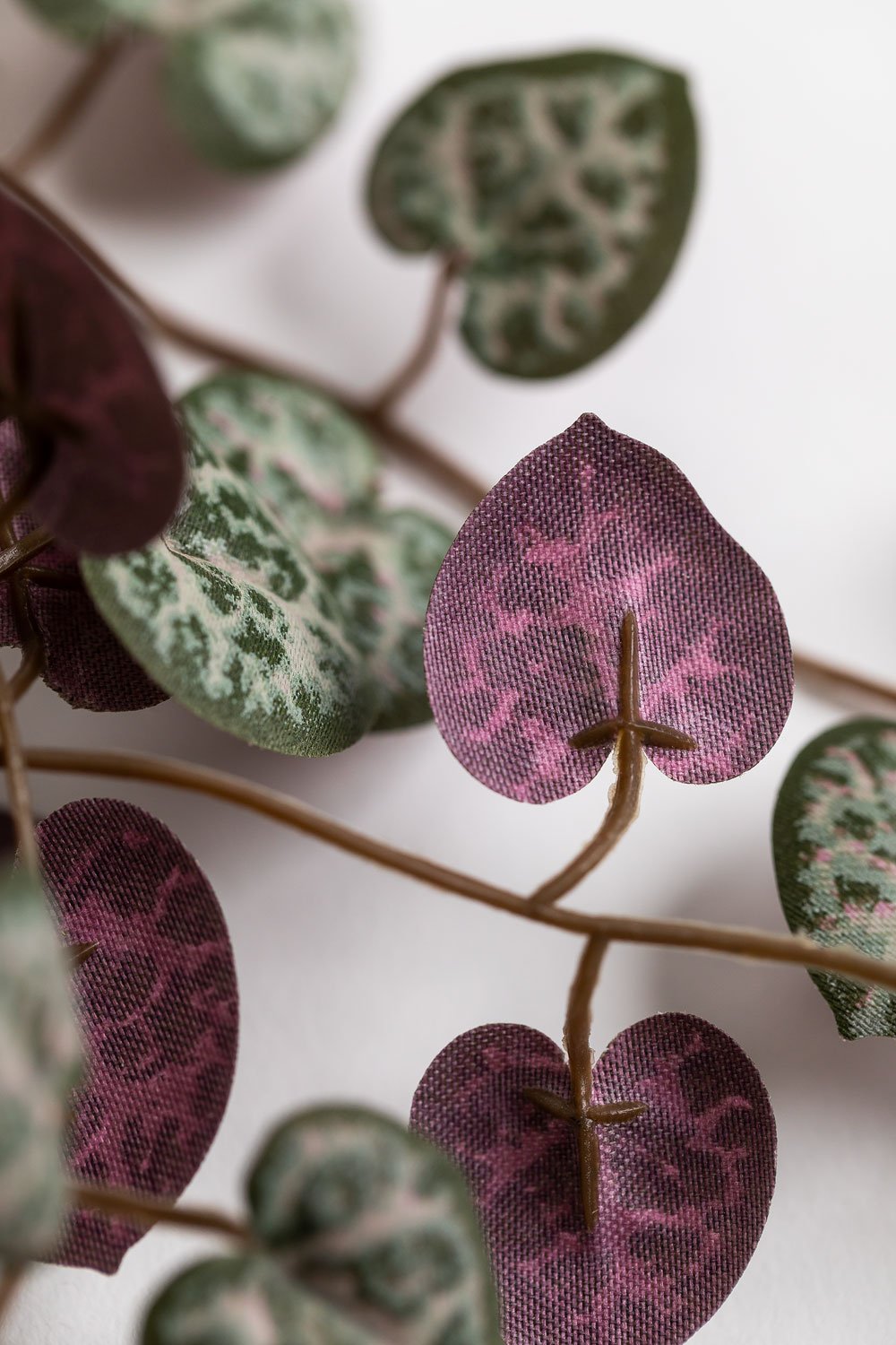 Pianta pensile artificiale decorativa Ceropegia